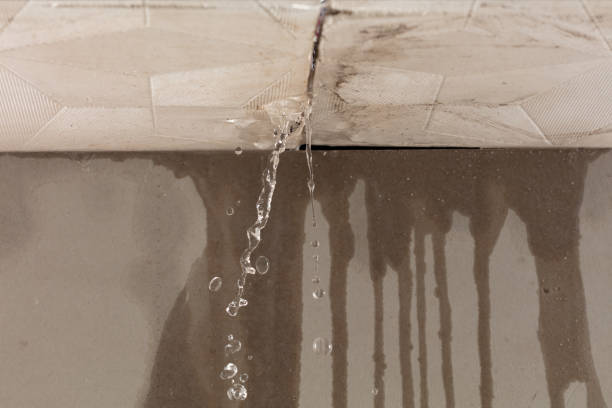Professional Structural Drying technician working in Worden, IL